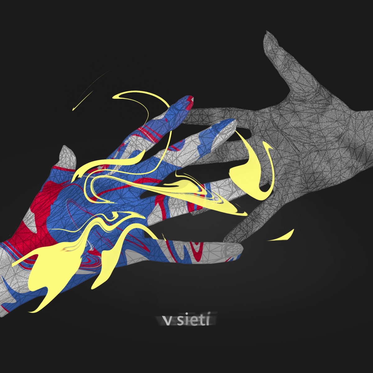 V Sieti - EP by Zmrd & Conspiracy Flat album cover