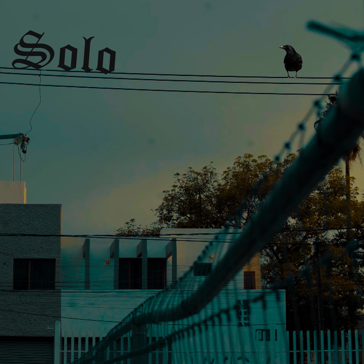 Solo (feat. Gio de la 5ta) - Single by Skom One album cover