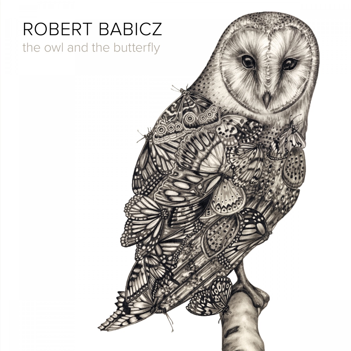 The Owl and the Butterfly by Robert Babicz album cover