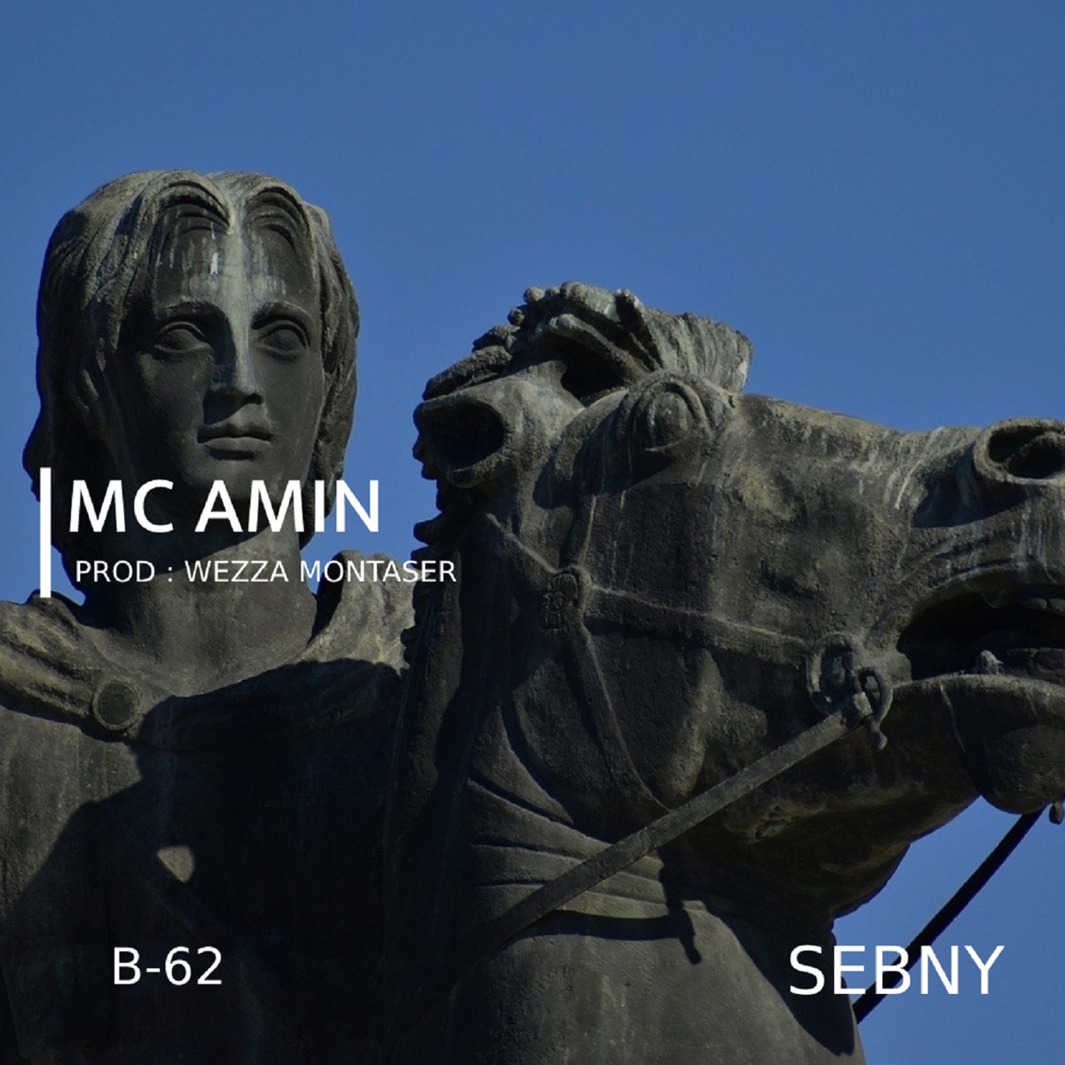 Sebny - Single by MC Amin album cover