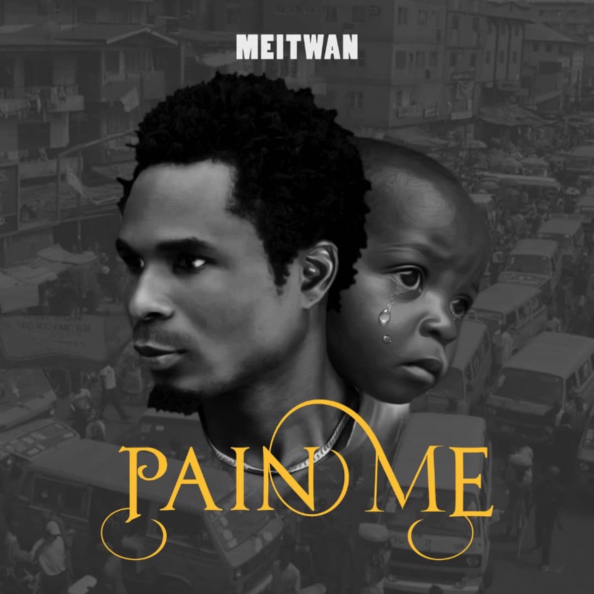 Pain Me - Single by Meitwan album cover