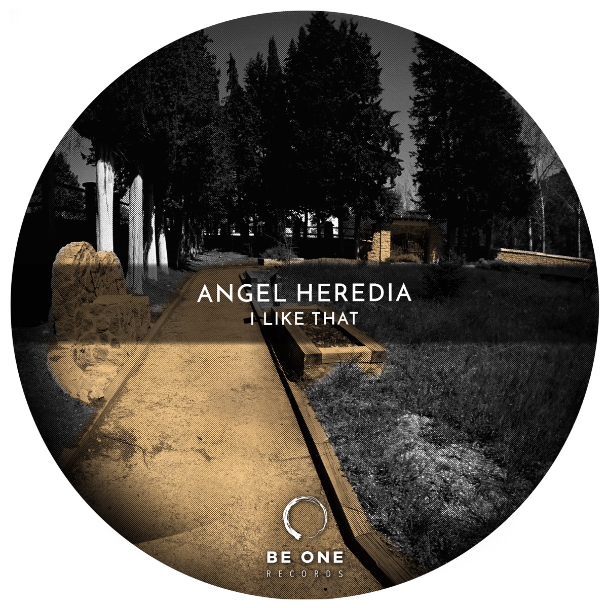 I Like That - Single by Angel Heredia album cover