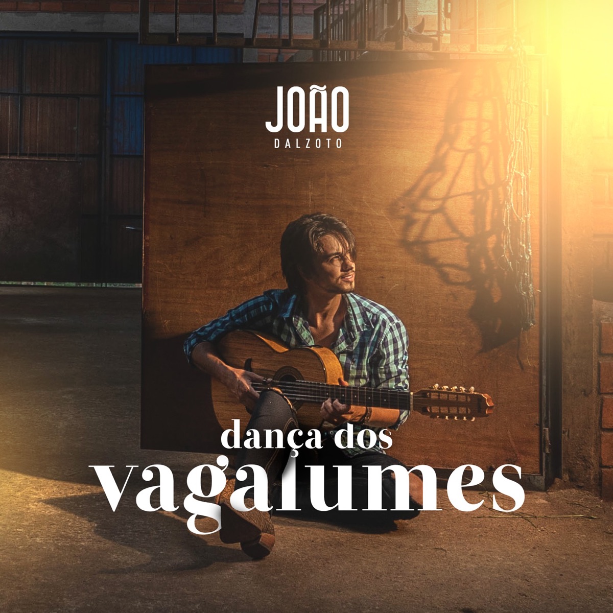 Dança dos Vagalumes - Single by João Dalzoto album cover
