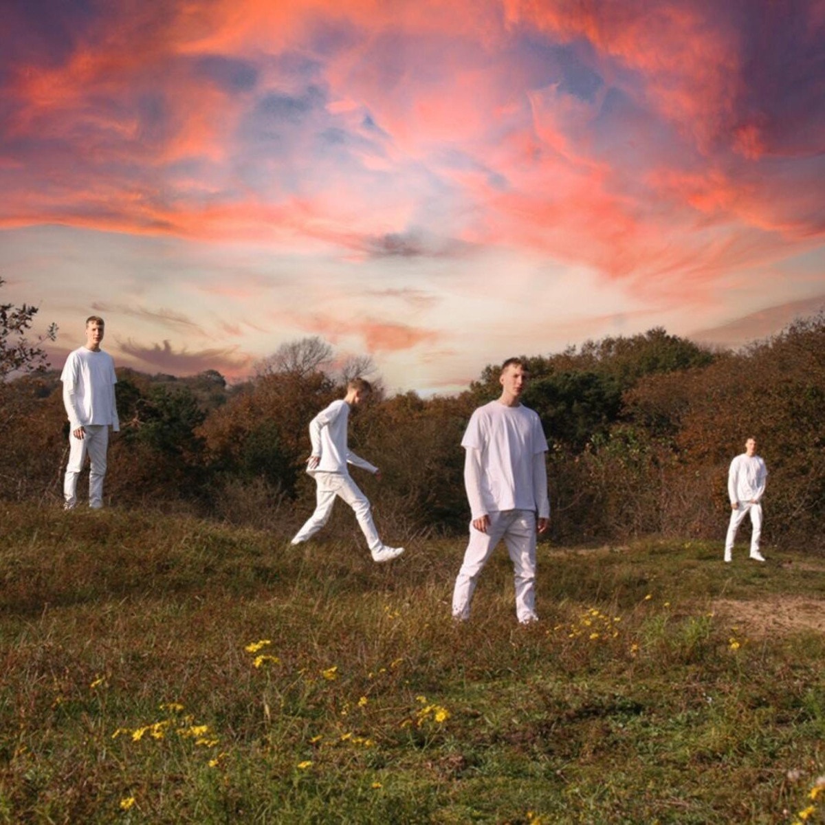 Natuur - Single by Phil Meds album cover