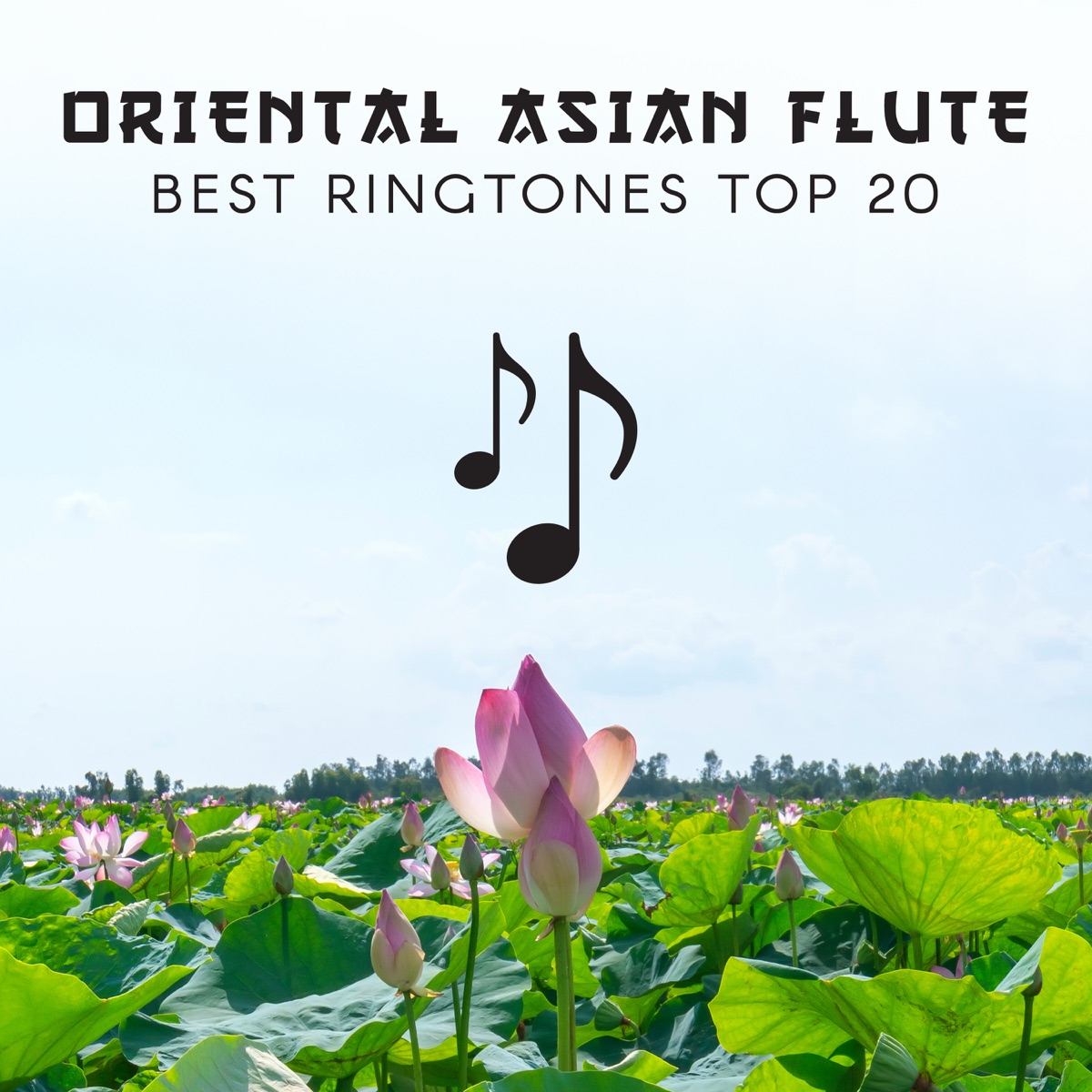Oriental Asian Flute: Best Ringtones Top 20 by Lily Zen & Olivia Mood album cover
