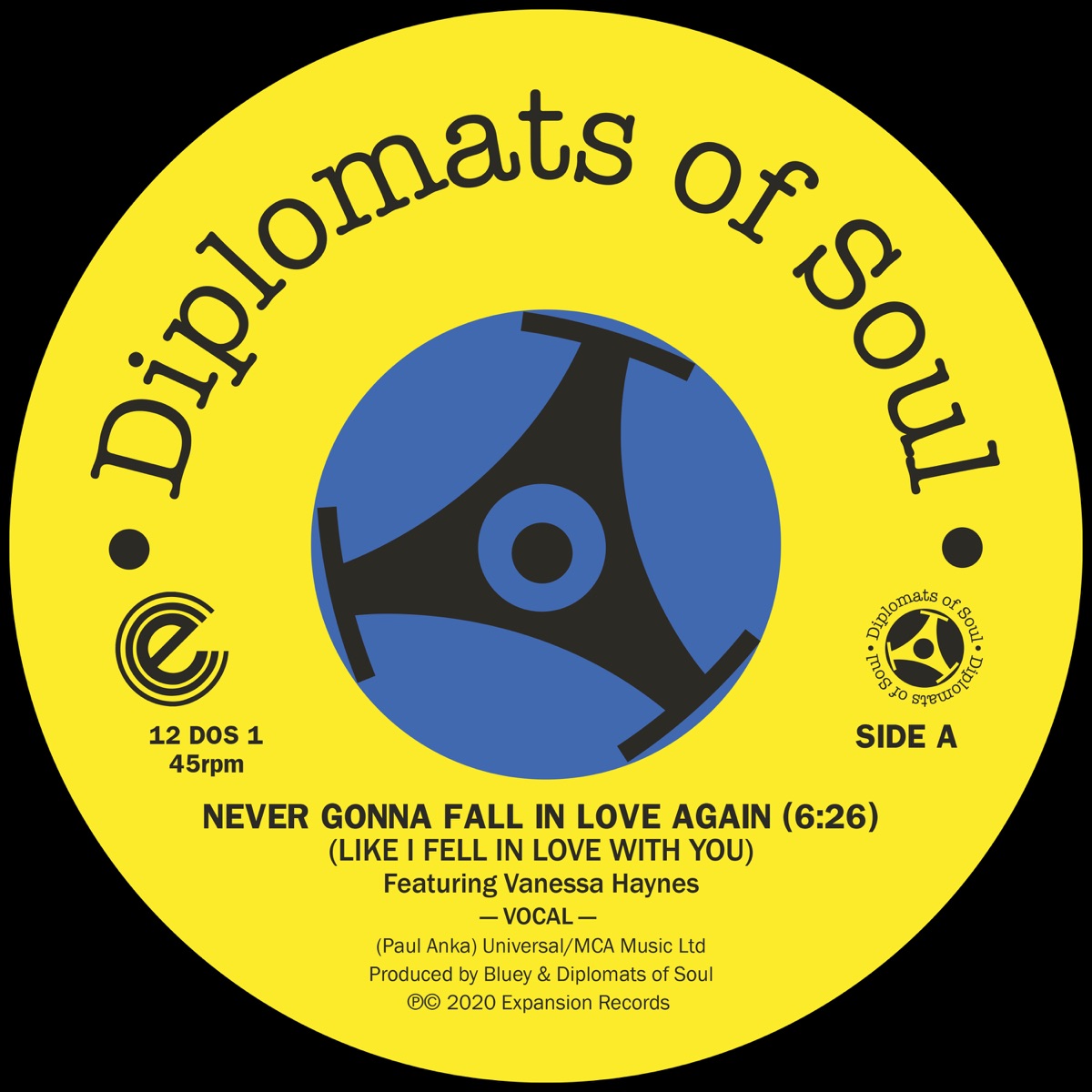 Never Gonna Fall in Love Again (Like I Fell in Love with You) [Digital] [feat. Vanessa Haynes] - Single by Diplomats of Soul album cover