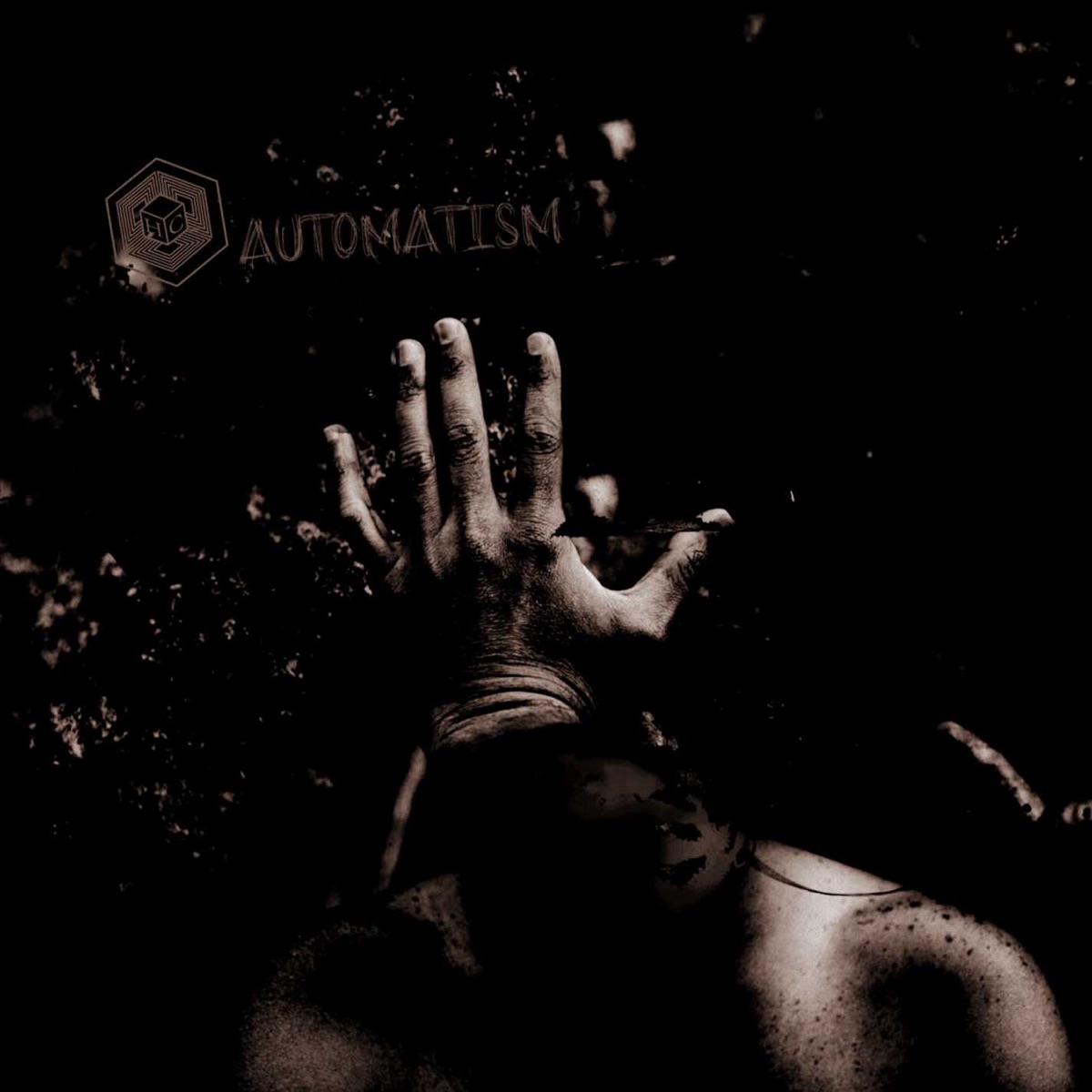 Automatism by Hydra Cognitiva album cover