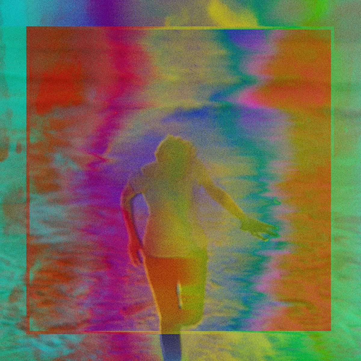 Forest View - EP by Niva album cover