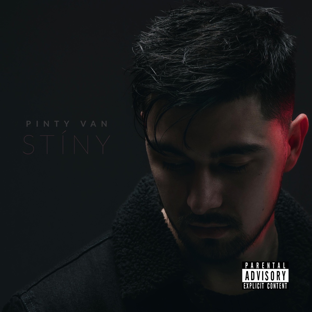 Stíny by Pinty Van album cover