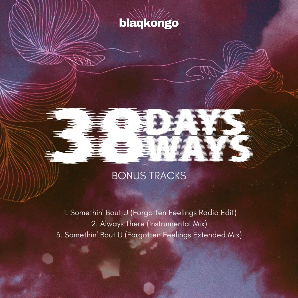 38 Days 38 Ways - Bonus Tracks - Single by Blaqkongo album cover