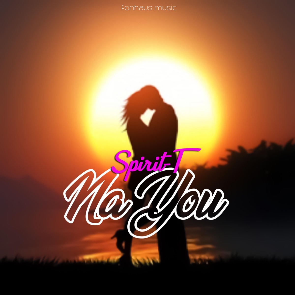 Na You - Single by Spirit-T album cover