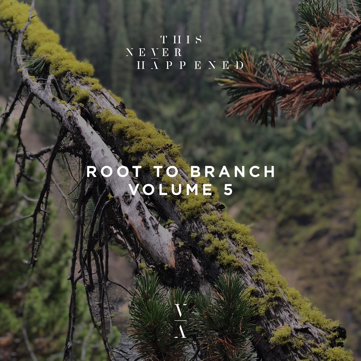 Root to Branch, Vol. 5 - EP by Polar Inc., Helsloot & Pauke Schaumburg album cover