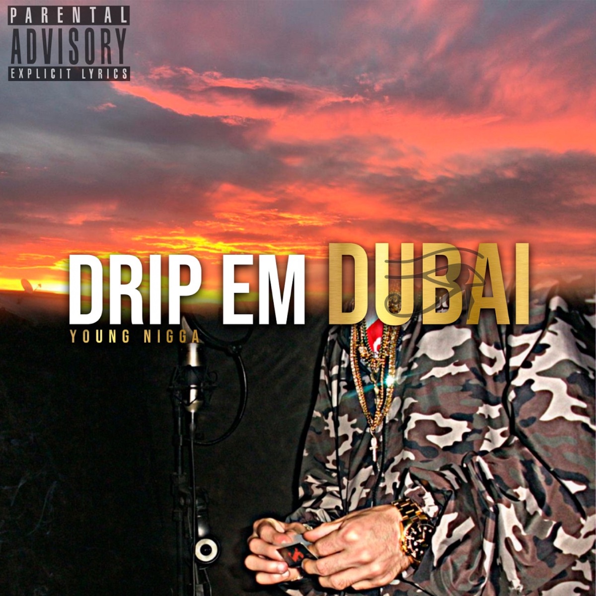 Drip em Dubai - Single by Young Nigga album cover