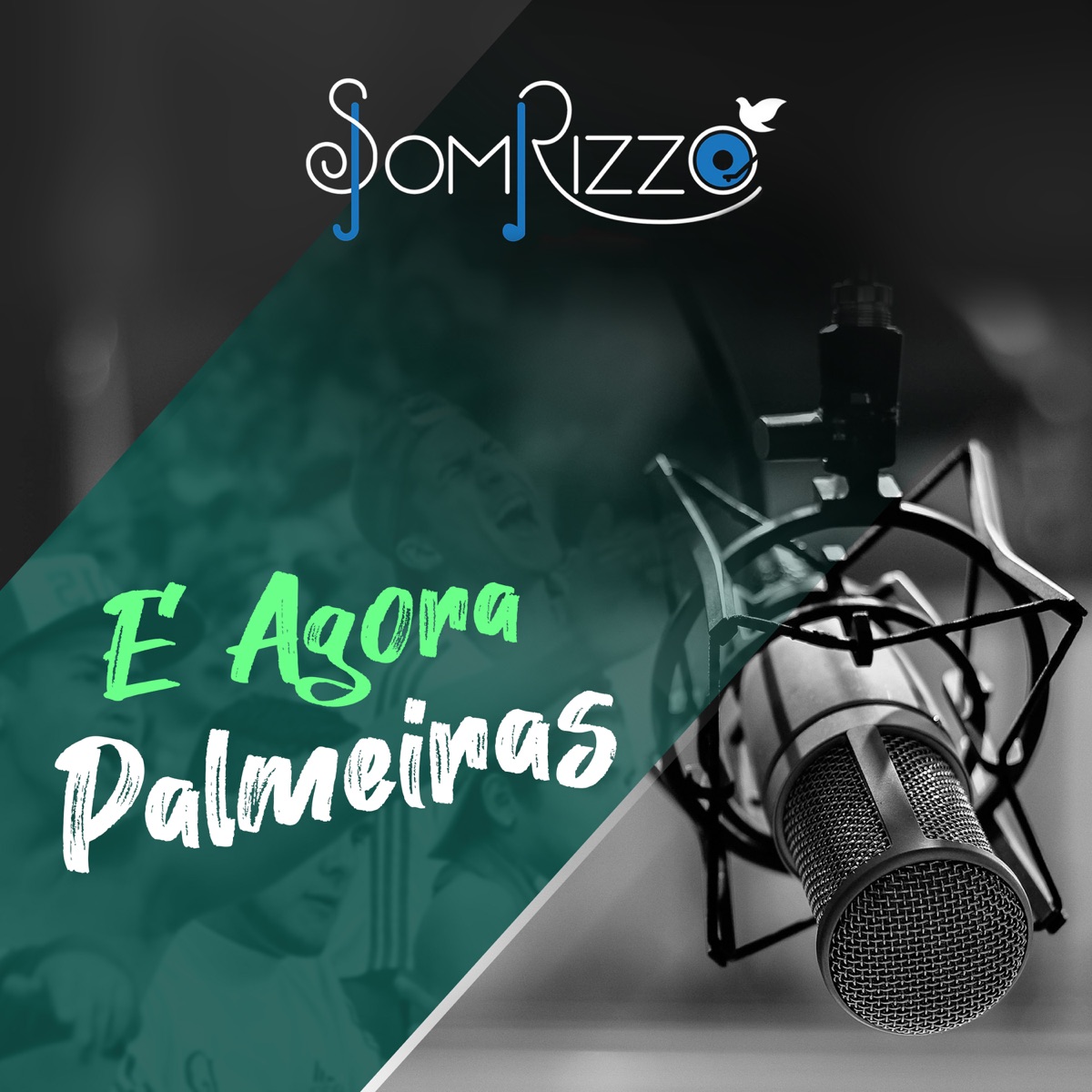E Agora Palmeiras (feat. Rony Ferraz) - Single by Som Rizzo album cover