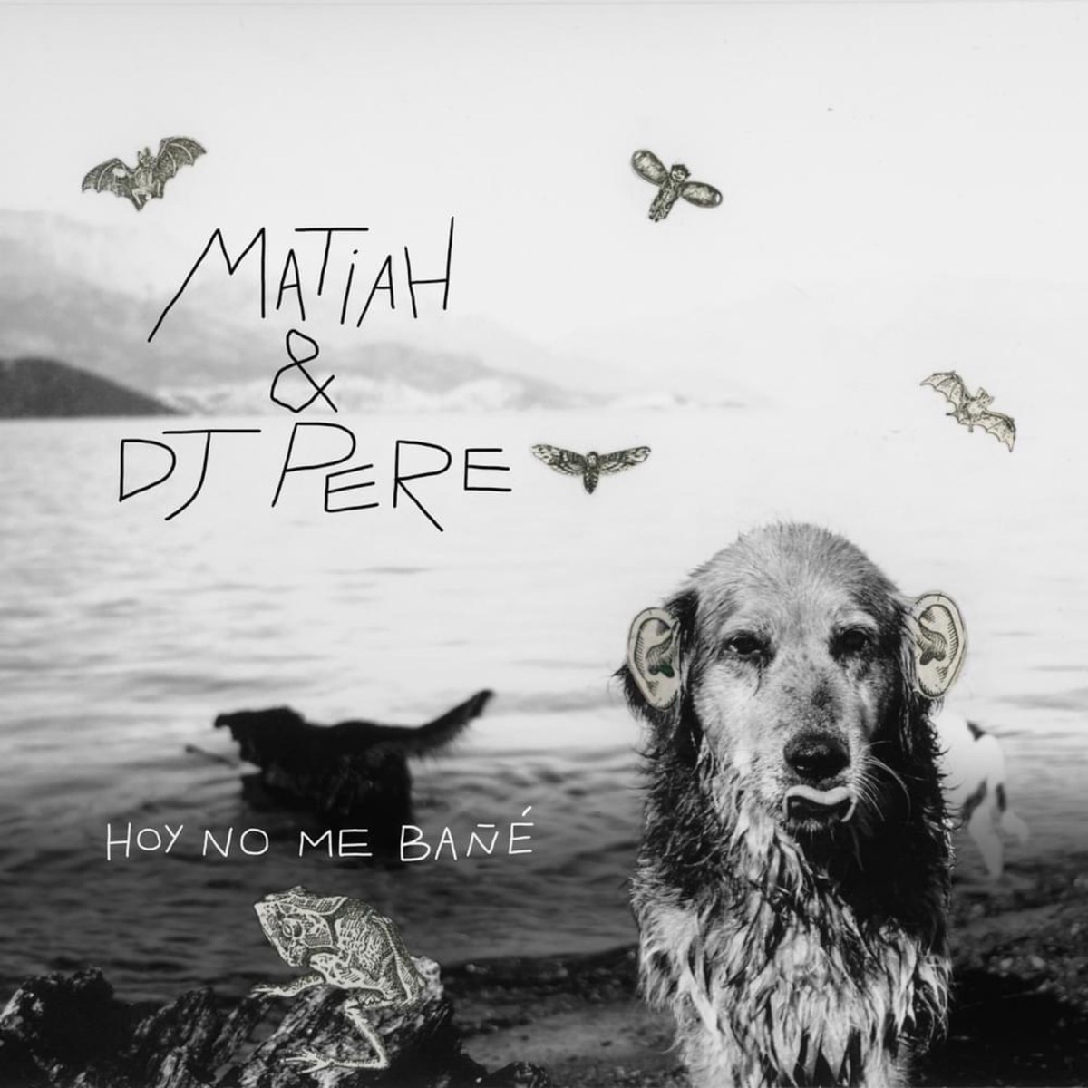 Hoy No Me Bañé by Matiah Chinaski & DJ Pere album cover