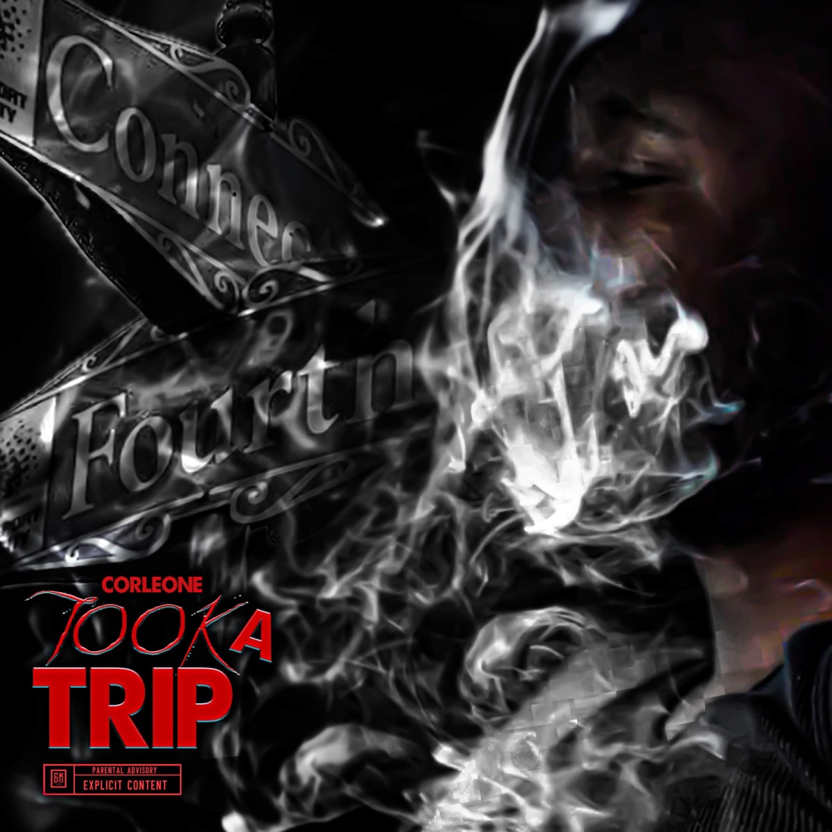 Took a Trip - Single by Corleone album cover