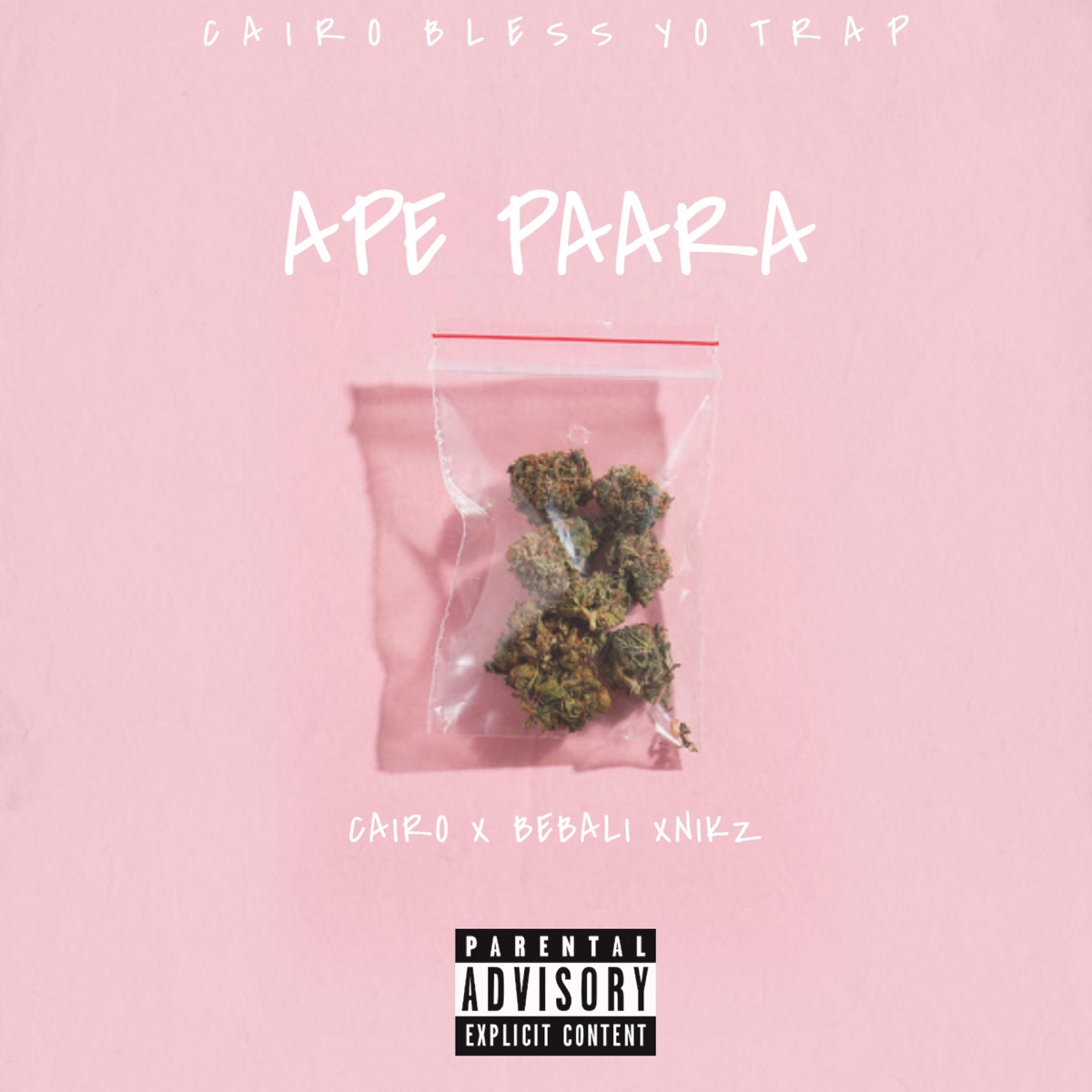 Ape Paara - Single by Cairo Rich album cover