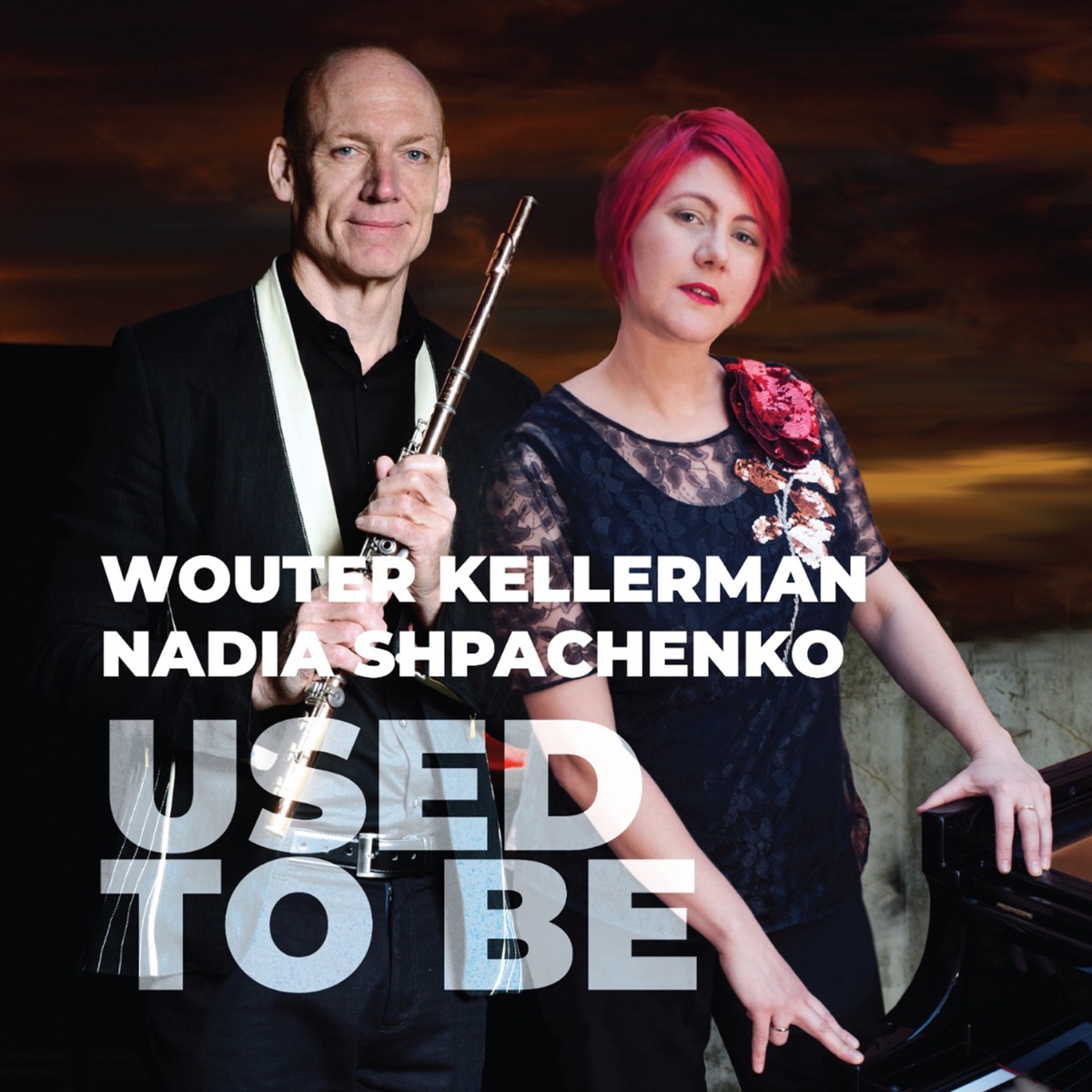 Used to Be (Producers Edition) - Single by Wouter Kellerman & Nadia Shpachenko album cover