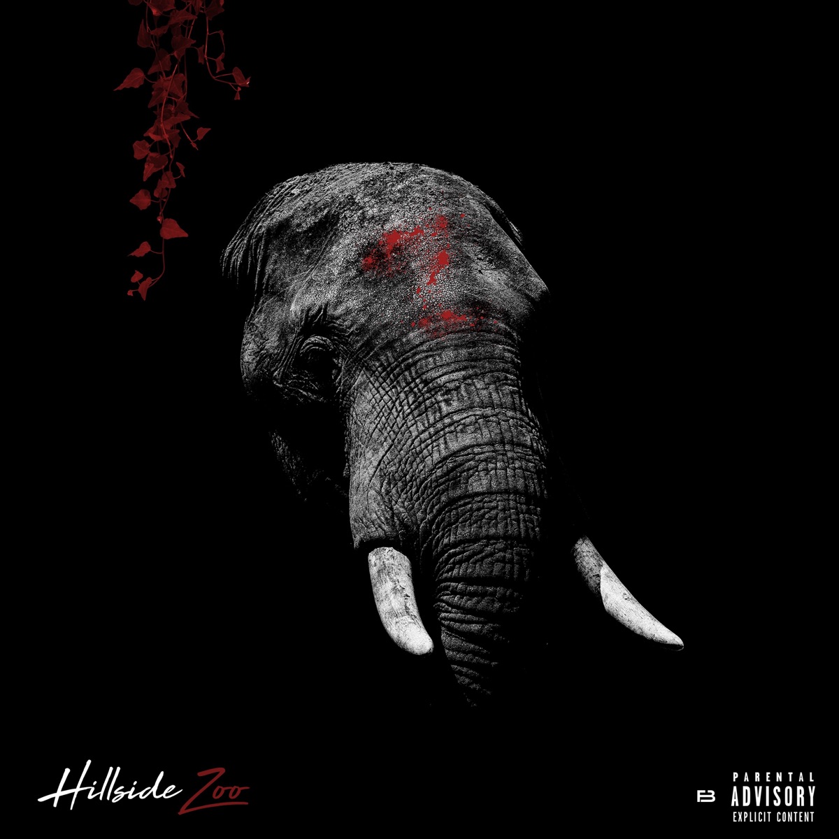 Hillside Zoo by Carns Hill & Zone 2 album cover