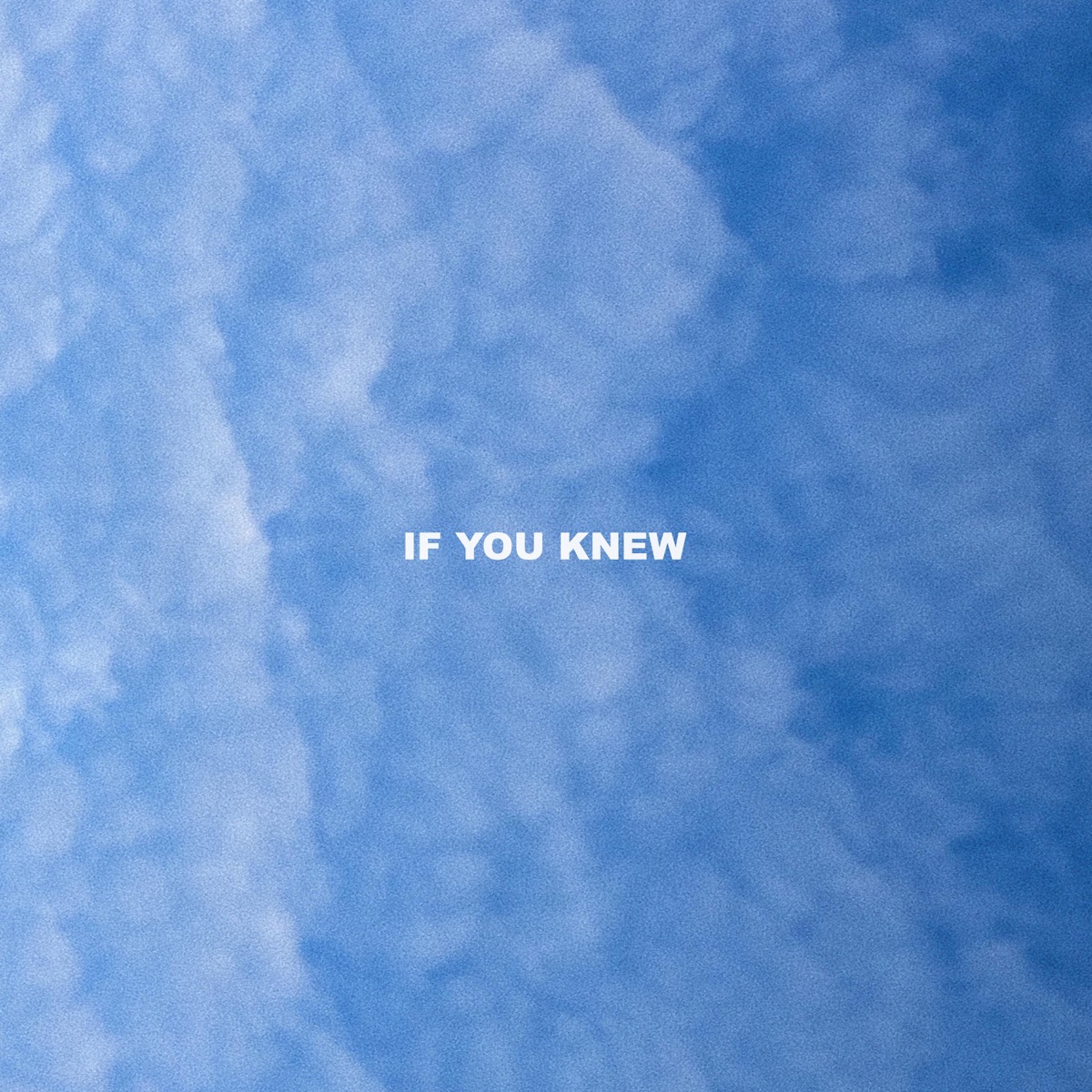 If You Knew (feat. Verzache) - Single by Young Lungs album cover