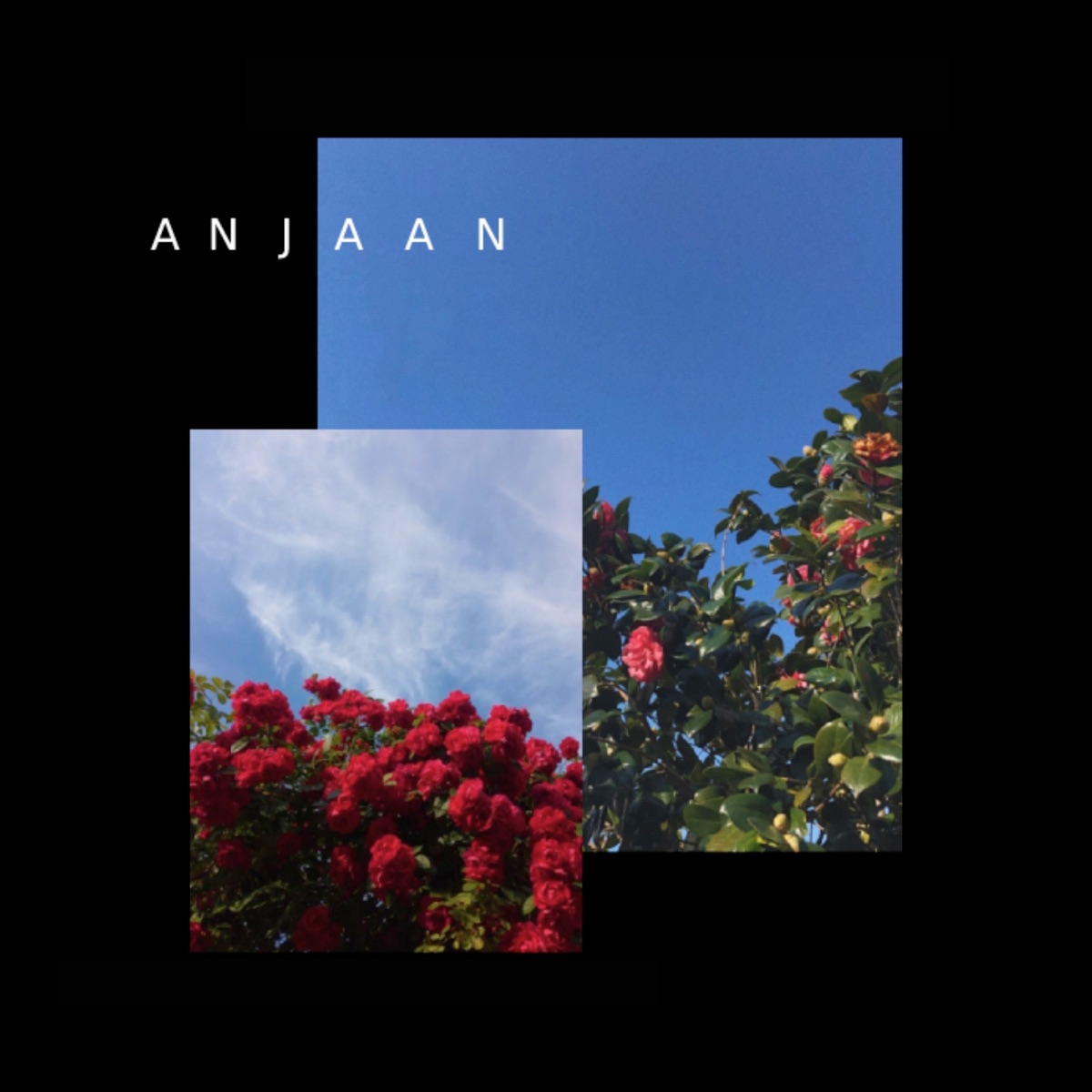 Anjaan (feat. Talhah Yunus & Nabeel Akbar) - Single by JANI & superdupersultan album cover