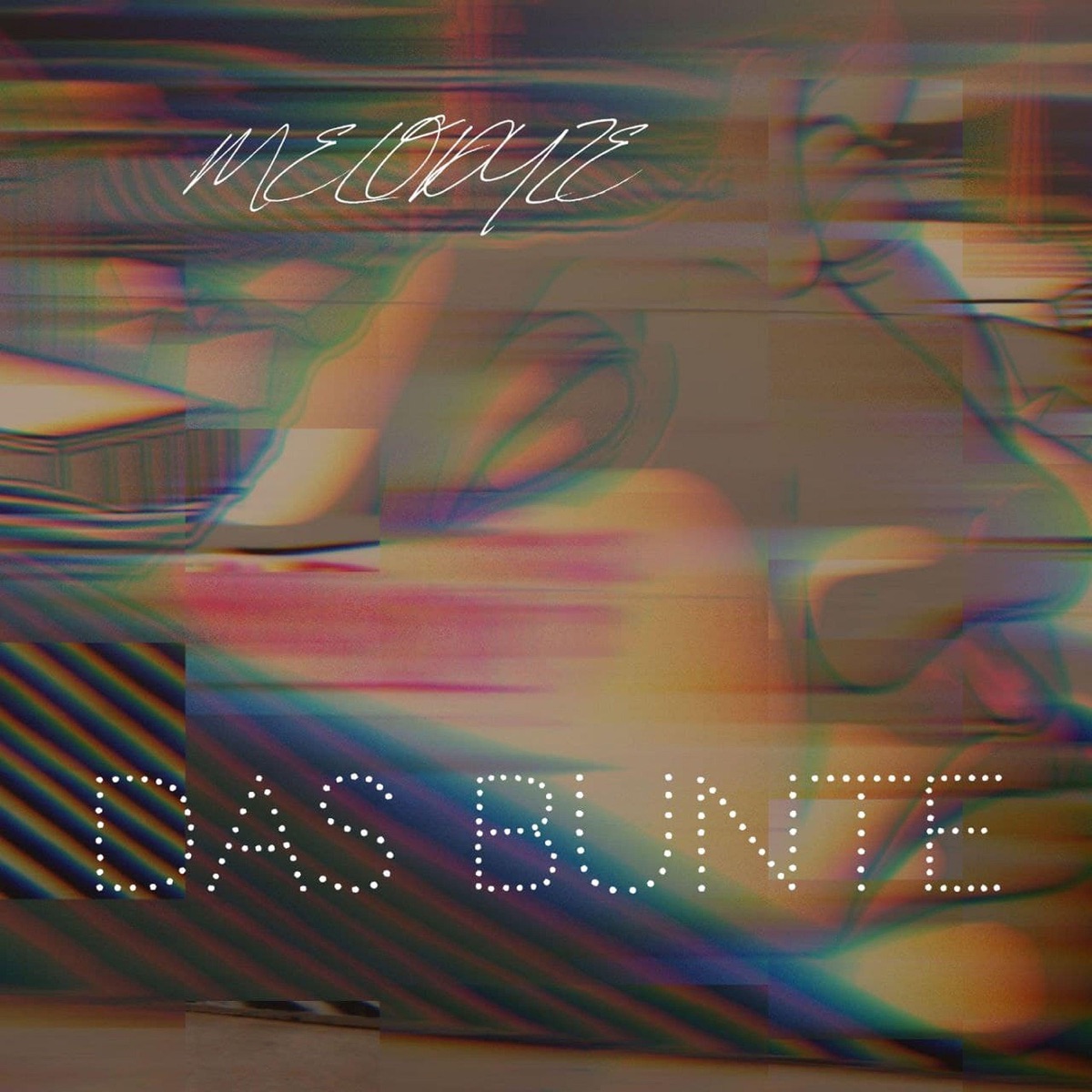 Das Bunte - Single by MELODYZE album cover