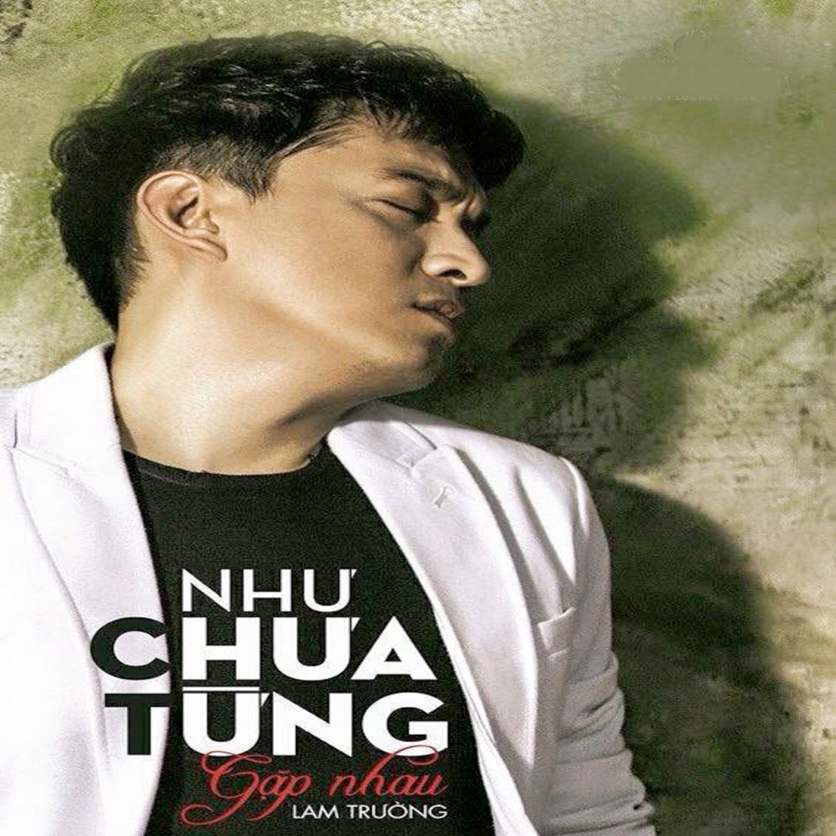 Như Chưa Từng Gặp Nhau - Single by Lam Trường album cover