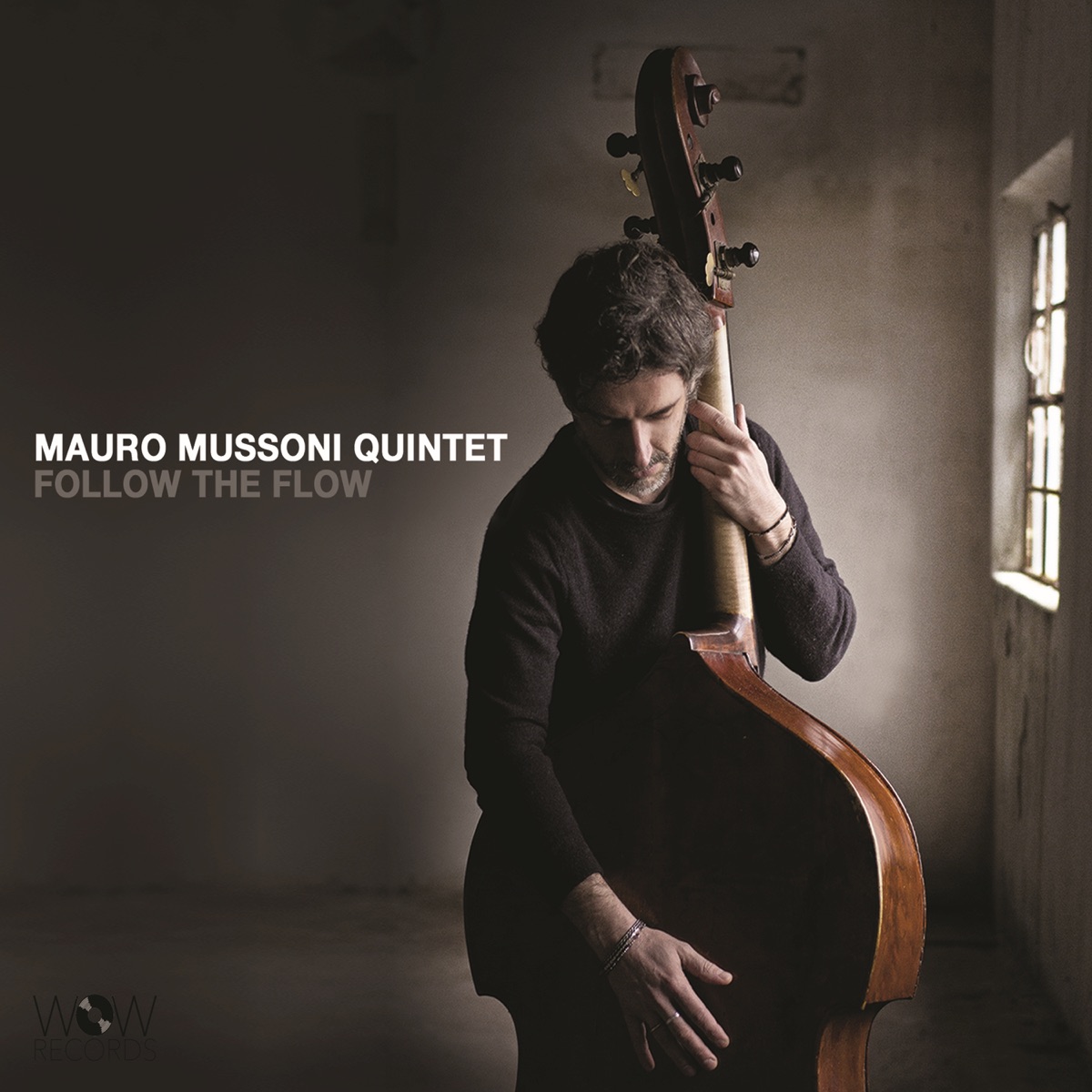 Follow the Flow by Mauro Mussoni album cover