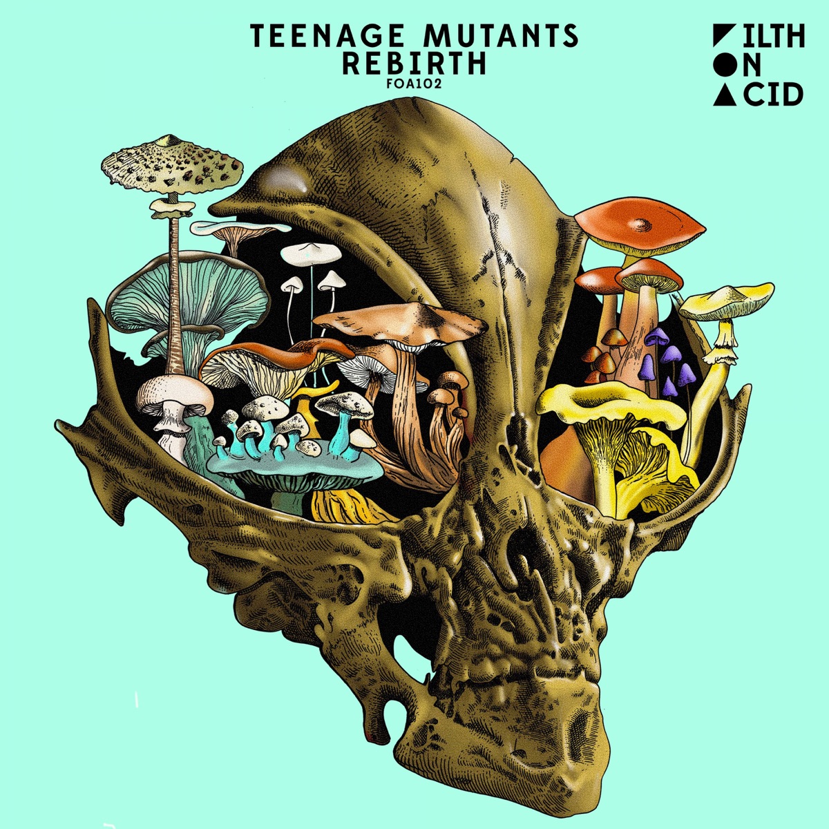 Rebirth - EP by Teenage Mutants album cover