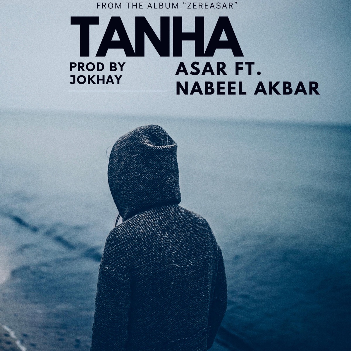 Tanha (feat. Nabeel Akbar & Shayan) - Single by Asar album cover