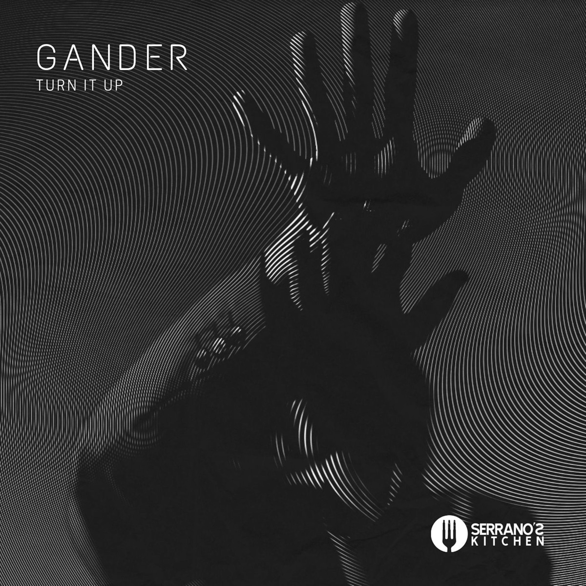Turn It Up - Single by GANDER album cover