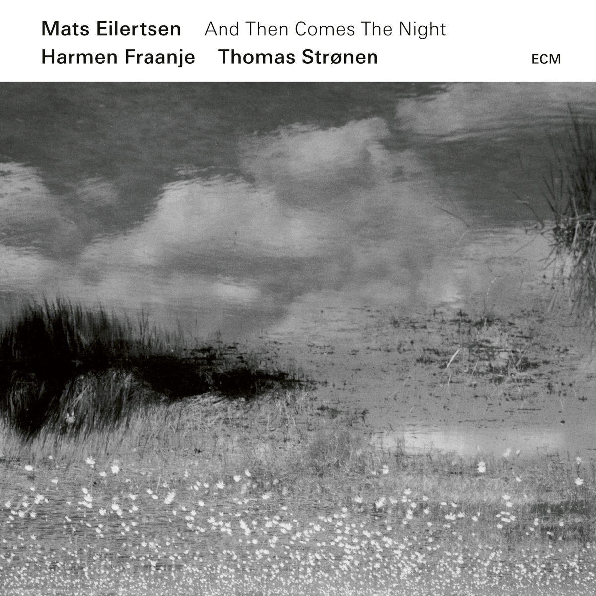 And Then Comes the Night by Mats Eilertsen, Harmen Fraanje & Thomas Strønen album cover