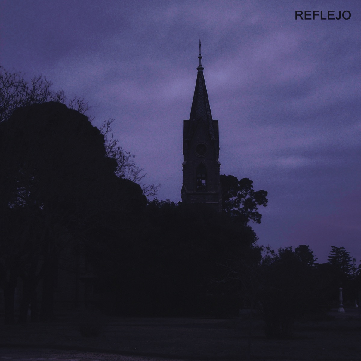 Reflejo (Acoustic Version) - Single by Naig album cover