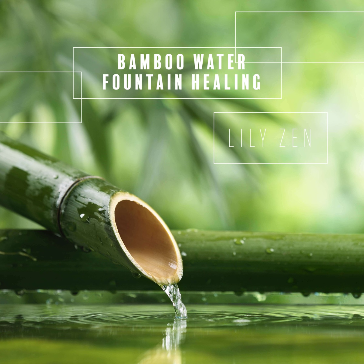 Bamboo Water Fountain Healing: BGM for Relaxation & Meditation by Lily Zen album cover