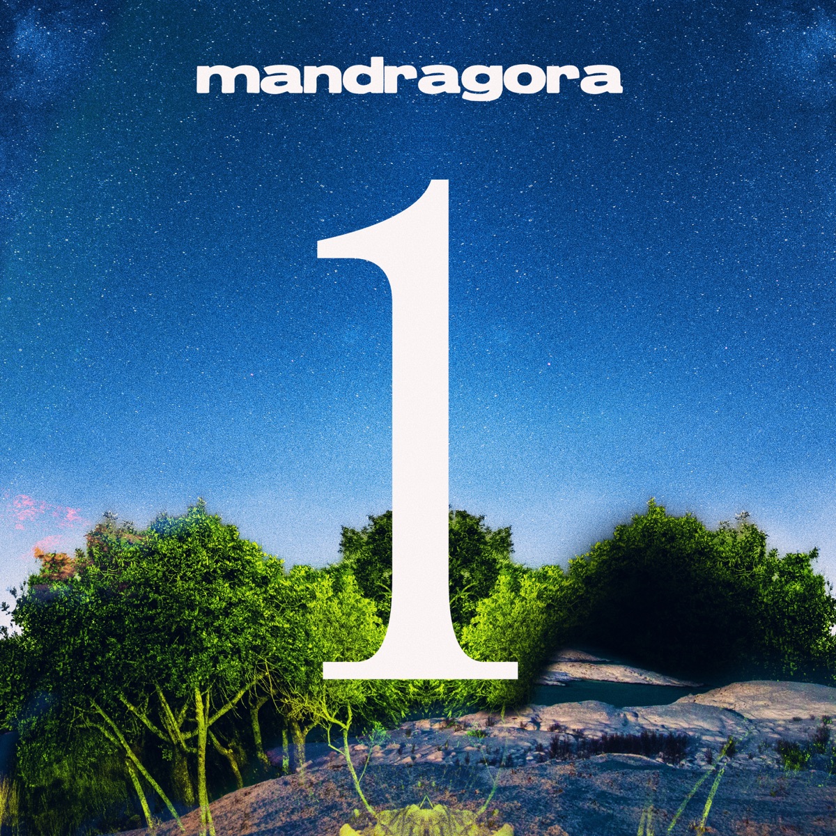 Disc 1 by Mandragora album cover