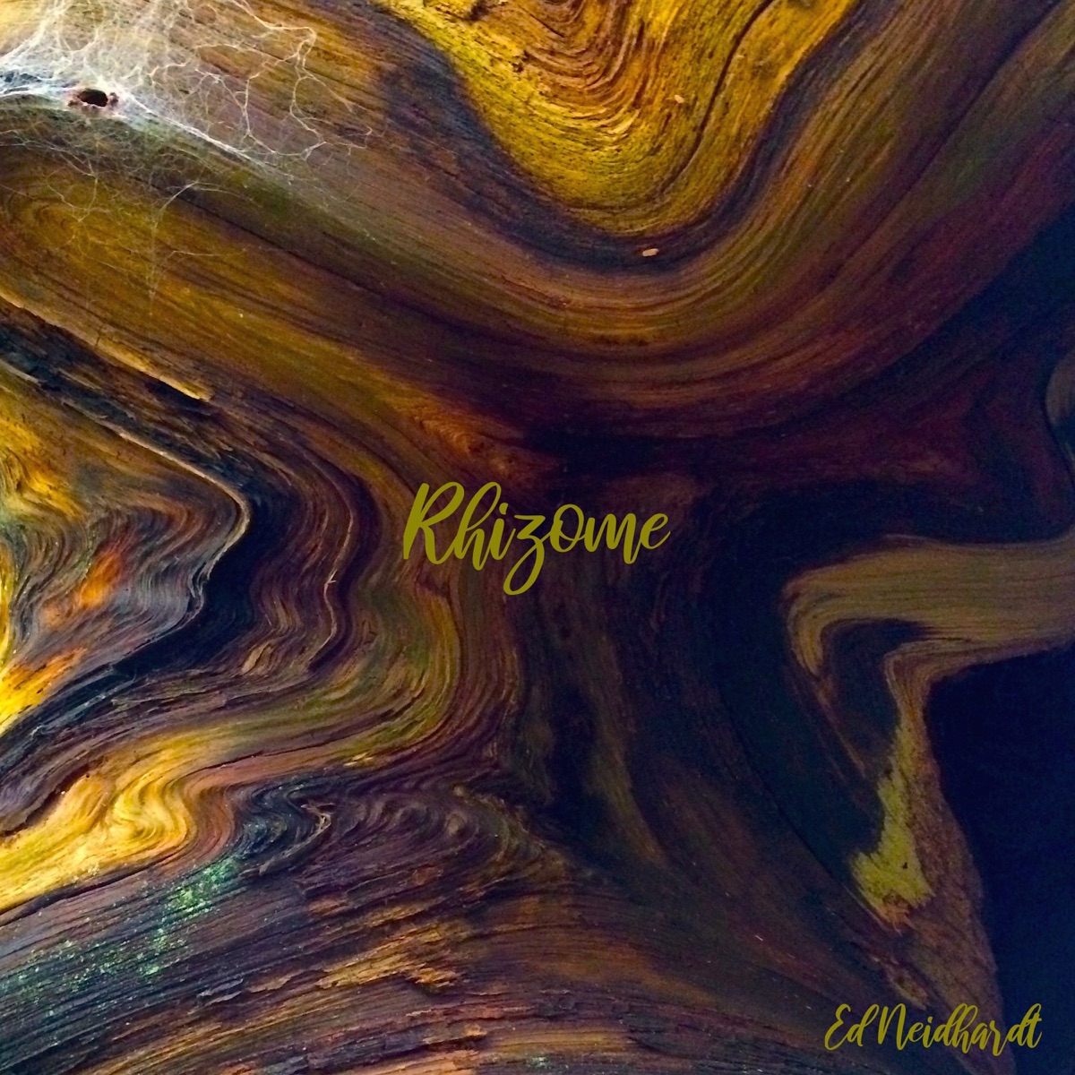Rhizome - EP by Ed Neidhardt album cover