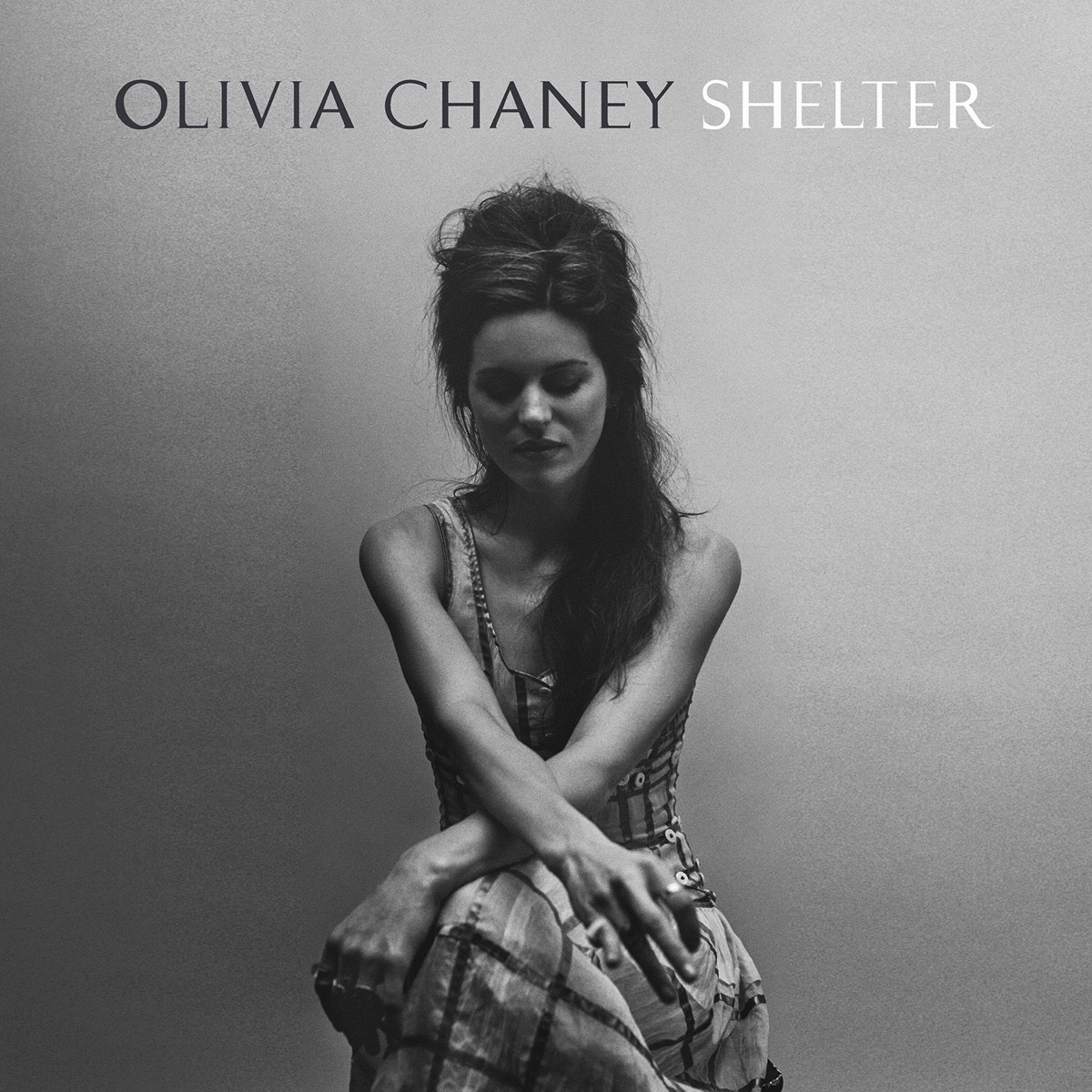Shelter by Olivia Chaney album cover