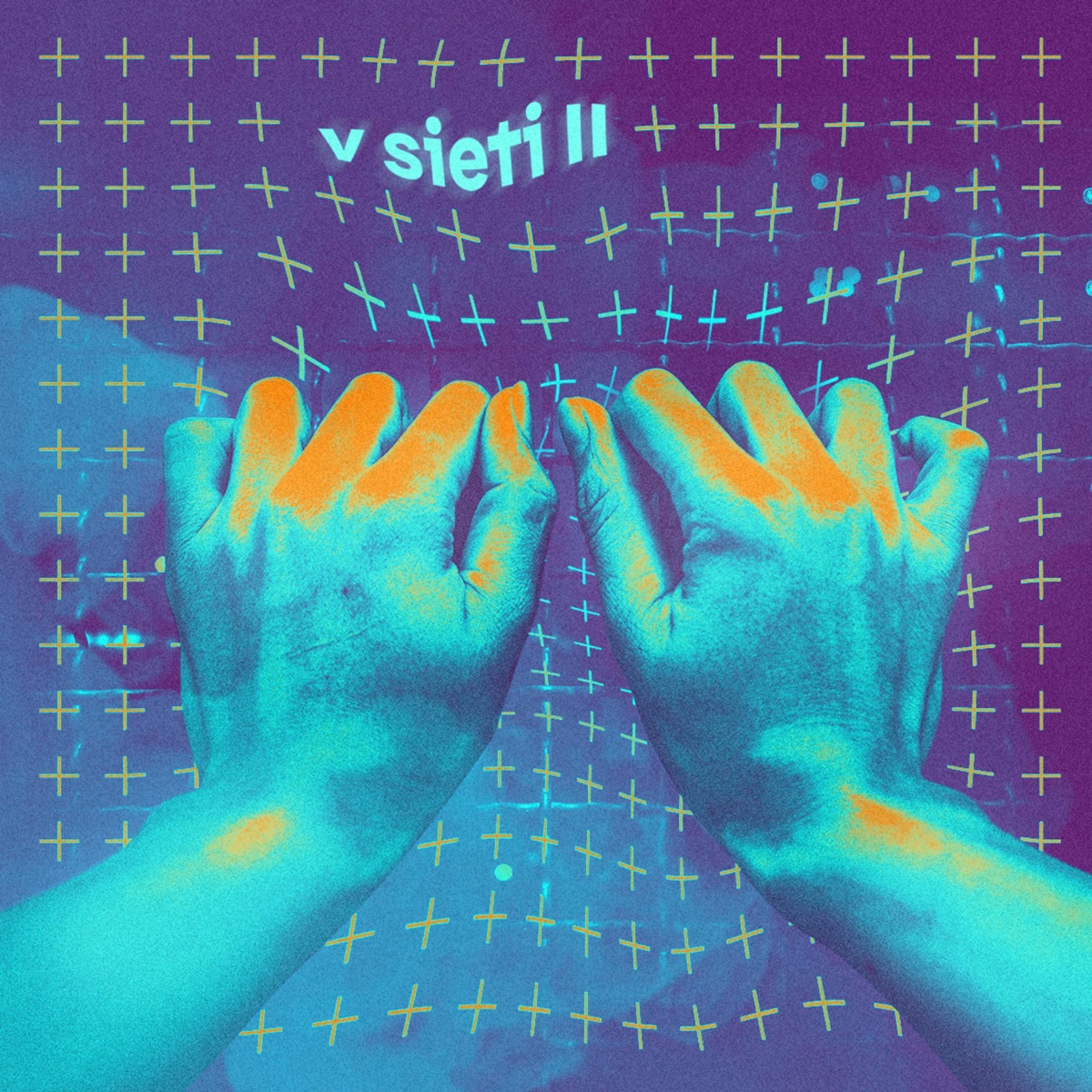 V Sieti 2 - EP by Conspiracy Flat & Zmrd album cover