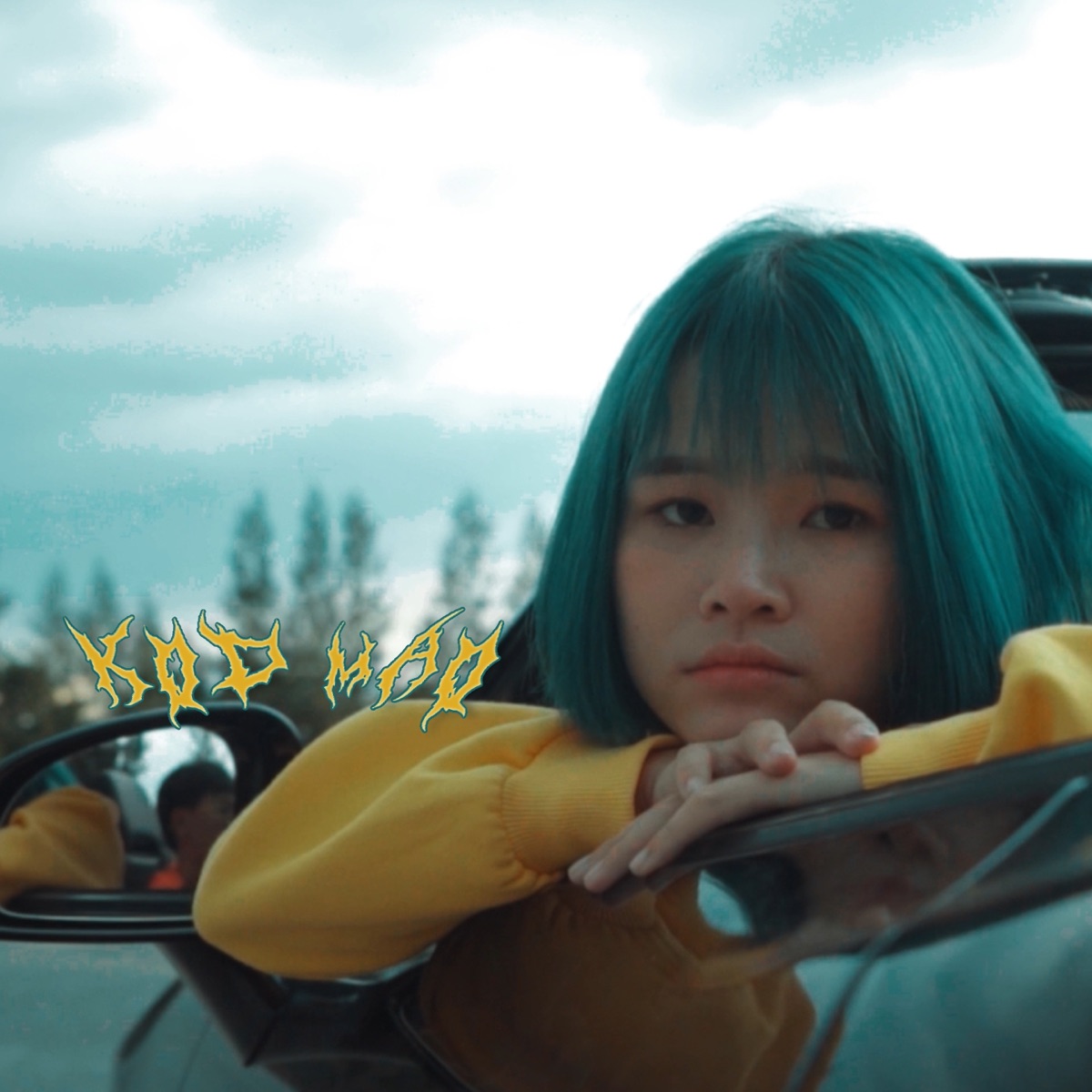 โคตรเมา - เด็กเลี้ยงควาย X บีบี๋ (feat. บีบี๋ & powerbank) [Remix Version Of เมา] - Single by Dek Leiang Khway album cover