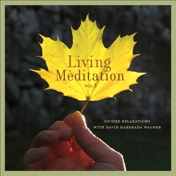 Living Meditation, Vol. 3: Guided Relaxations With David Harshada Wagner by Music for Deep Meditation album cover