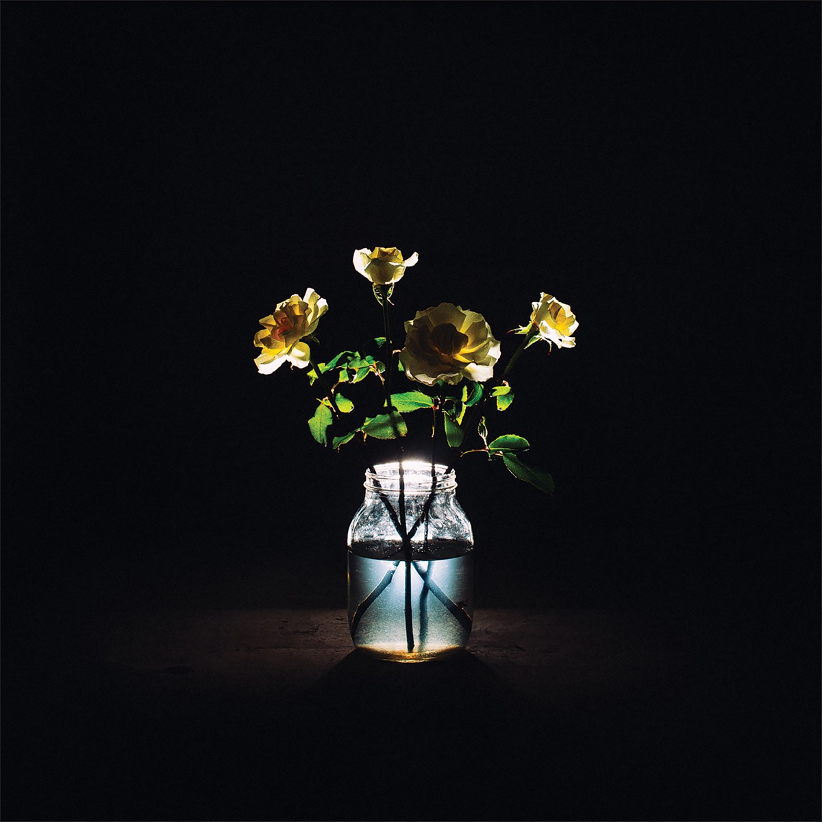 Renewal by Billy Strings album cover