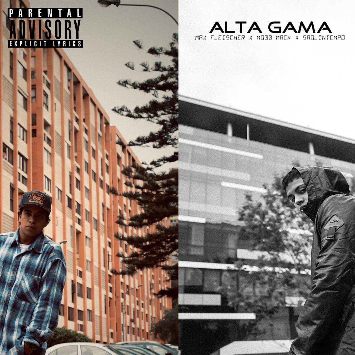 Alta Gama (feat. Mobb Mack) - Single by Max Fleischer album cover