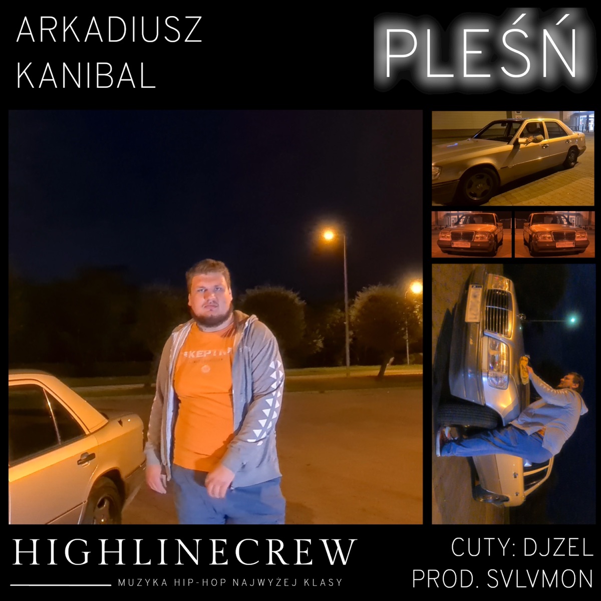 Pleśń (feat. DJ. Zel & SVLVMON) - Single by Arkadiusz Kanibal album cover