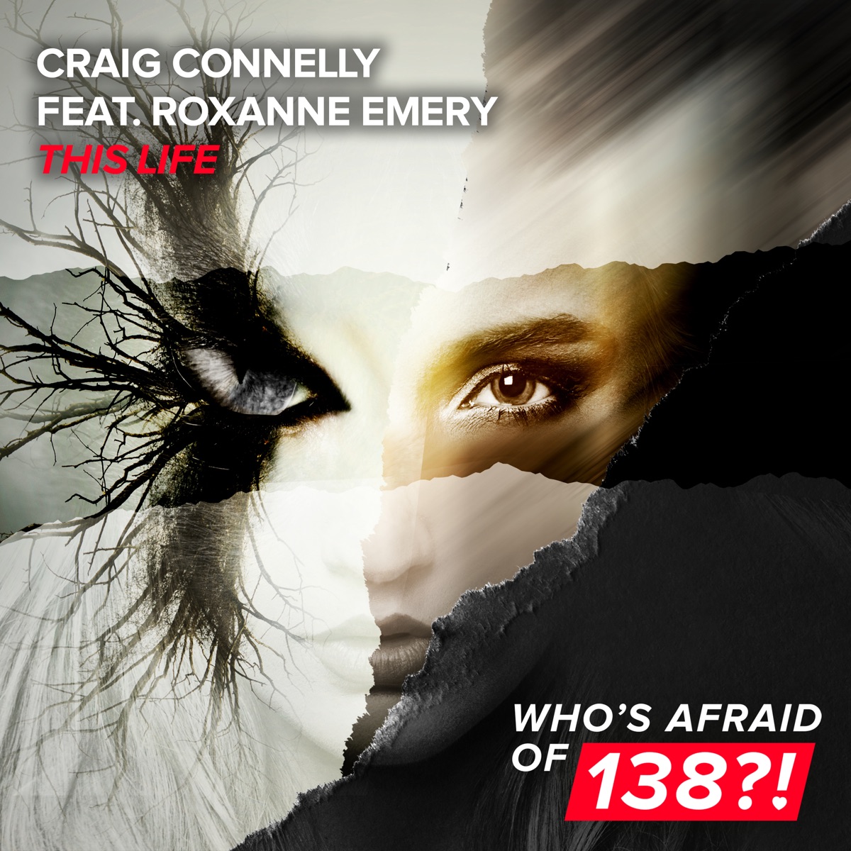 This Life (feat. Roxanne Emery) - Single by Craig Connelly album cover