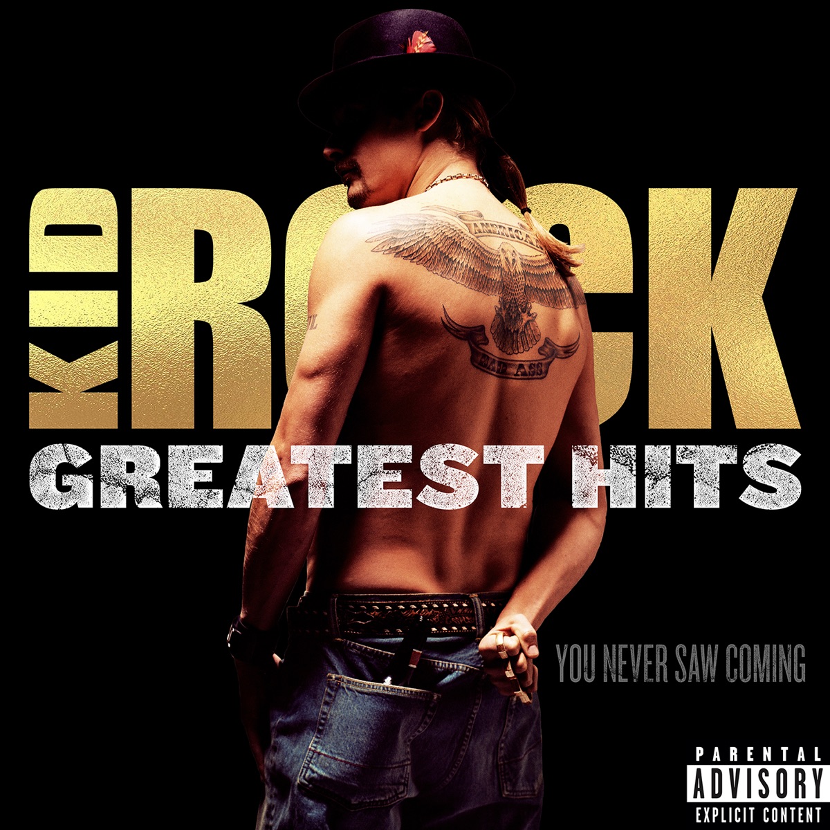 Greatest Hits: You Never Saw Coming by Kid Rock album cover