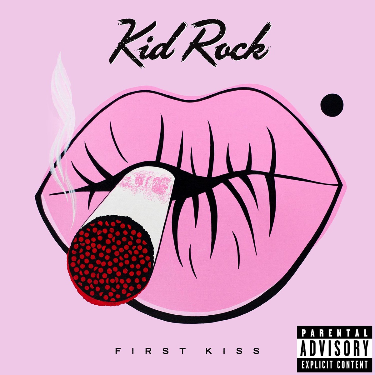 First Kiss by Kid Rock album cover