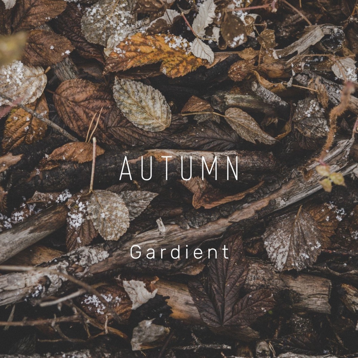 Autumn - Single by Gardient album cover