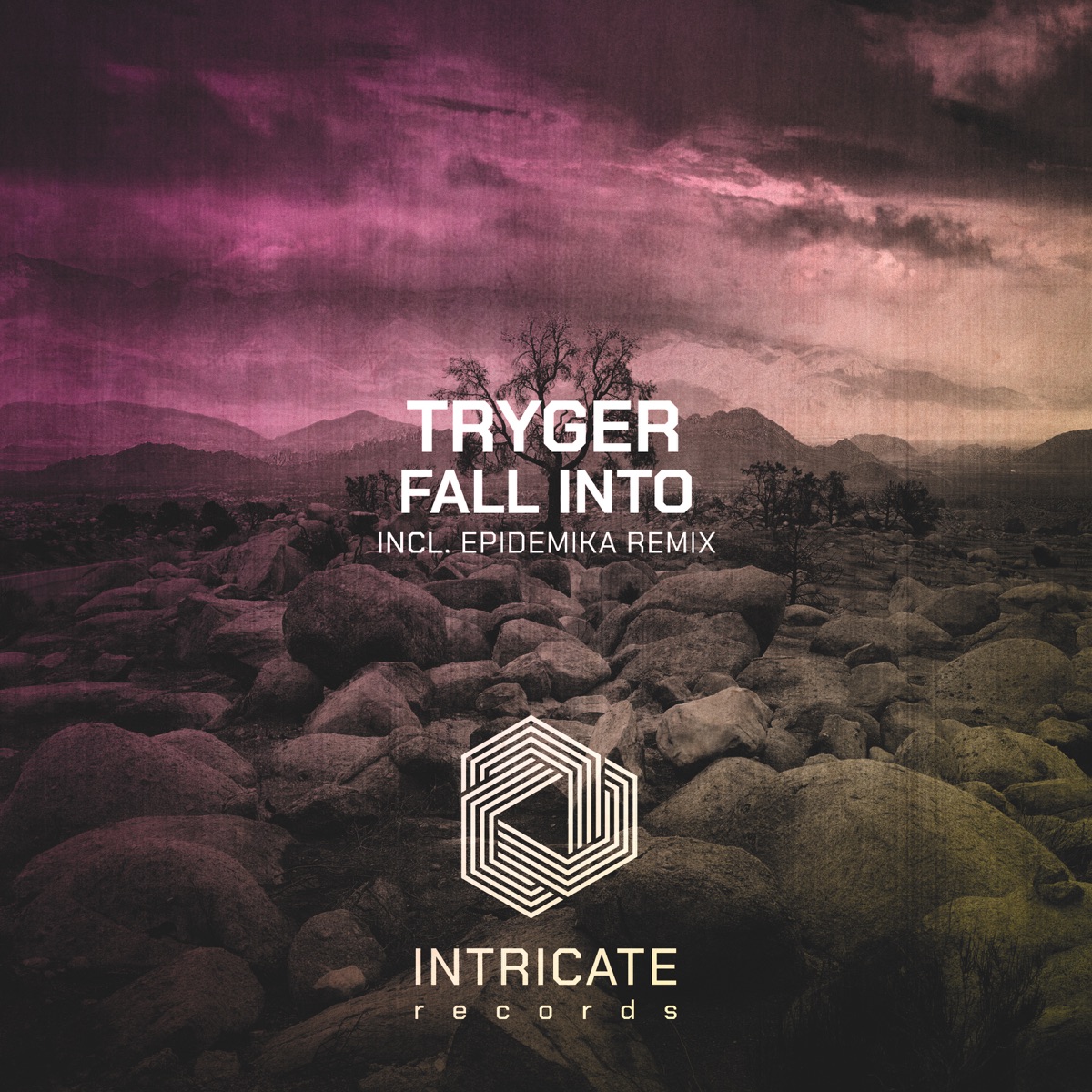 Fall Into - EP by Tryger album cover