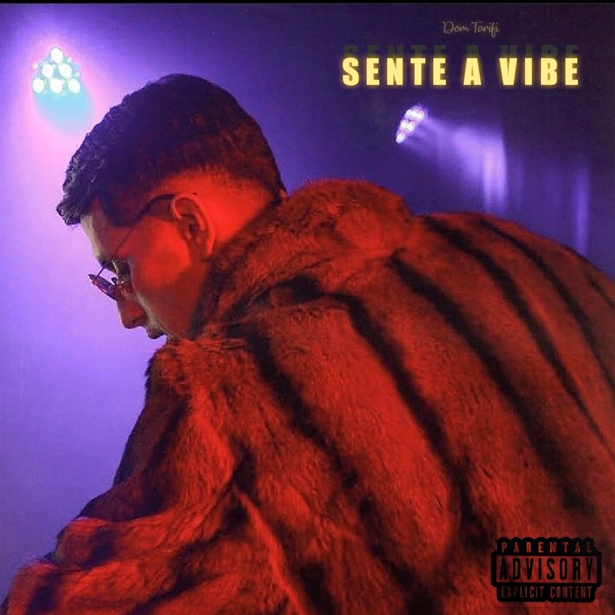 Sente a Vibe - Single by Dom Tarifi album cover