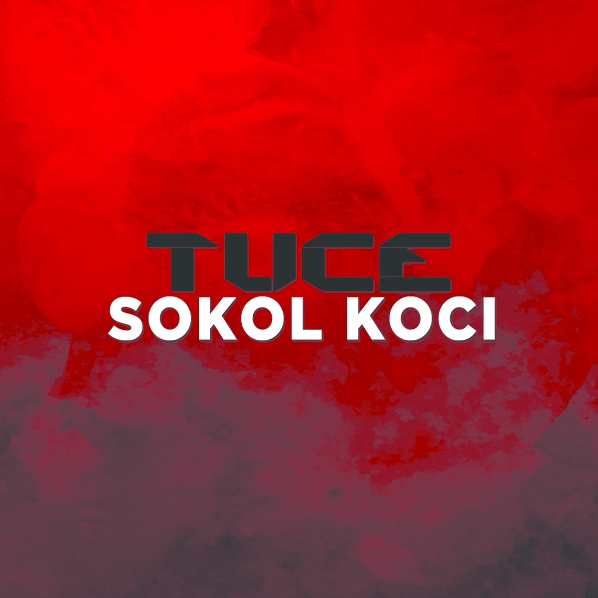 Tuce - Single by Sokol Koci album cover